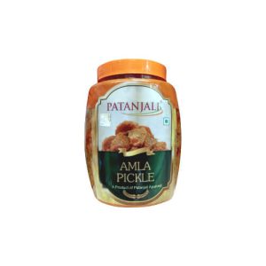 PATANJALI AMLA PICKLE 1.1